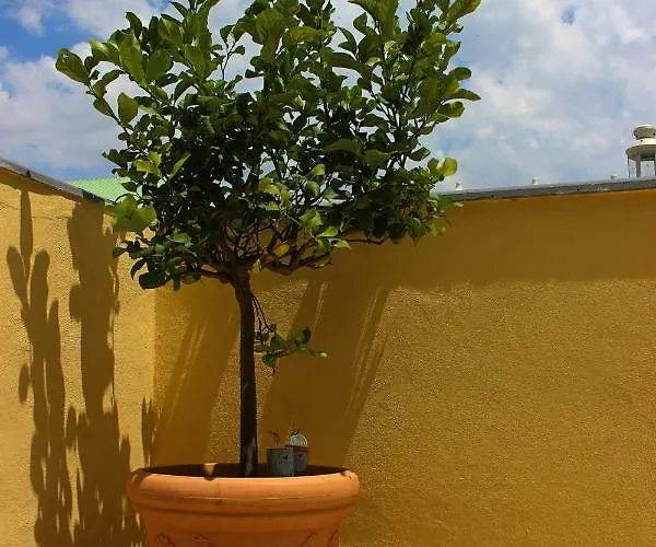 Dimora Santa Chiara נאפולי